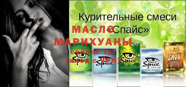 гидра Новодвинск
