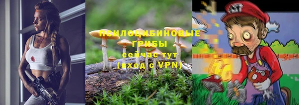 PSILOCYBIN Алексин
