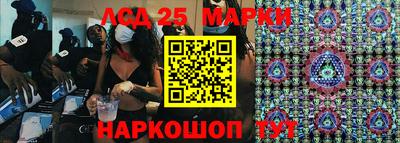 индика Дубна