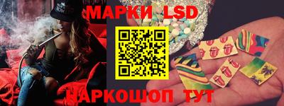 индика Дубна