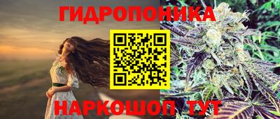индика Дубна