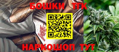 индика Дубна