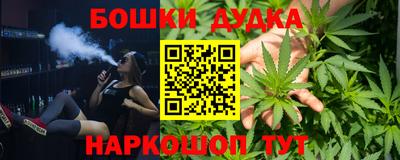 индика Дубна