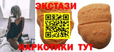 индика Дубна