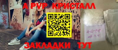 индика Дубна
