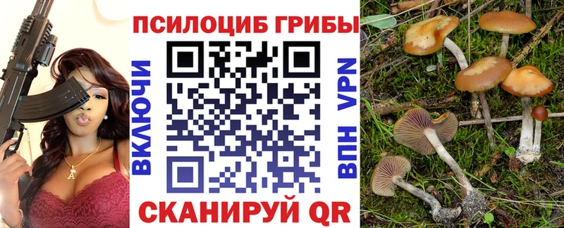 Галлюциногенные грибы мухоморы  наркотики  Каменск-Уральский 